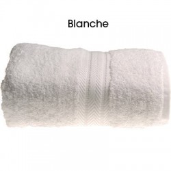 Fiche type Serviette de toilette
