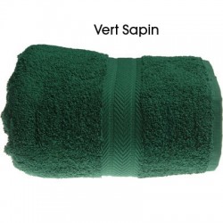 Fiche type Serviette de toilette