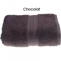 Fiche type Serviette de toilette